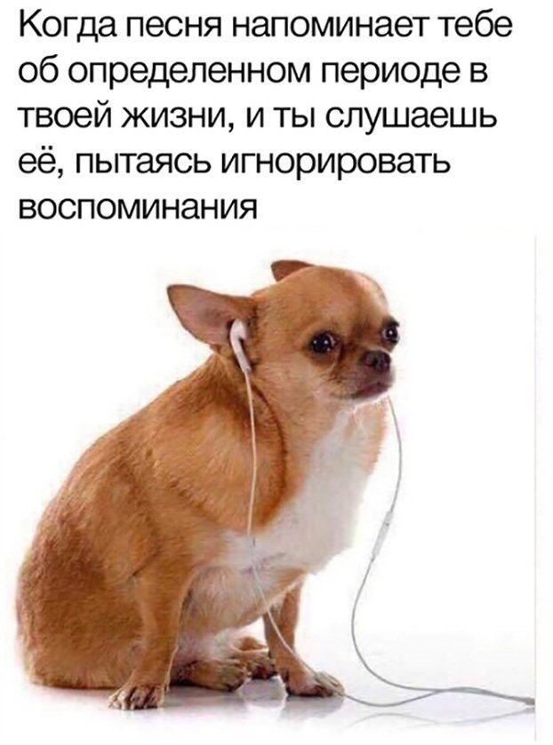 Прикольные и смешные картинки