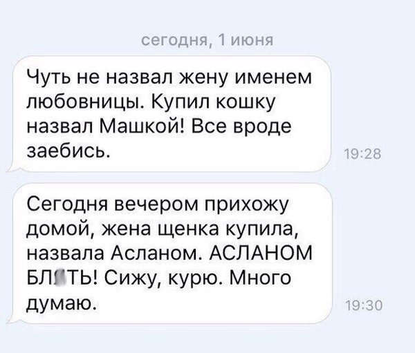 Прикольные и смешные картинки