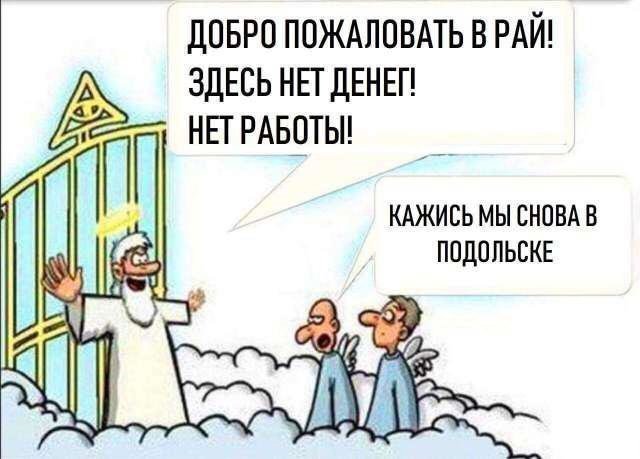 Прикольные и смешные картинки