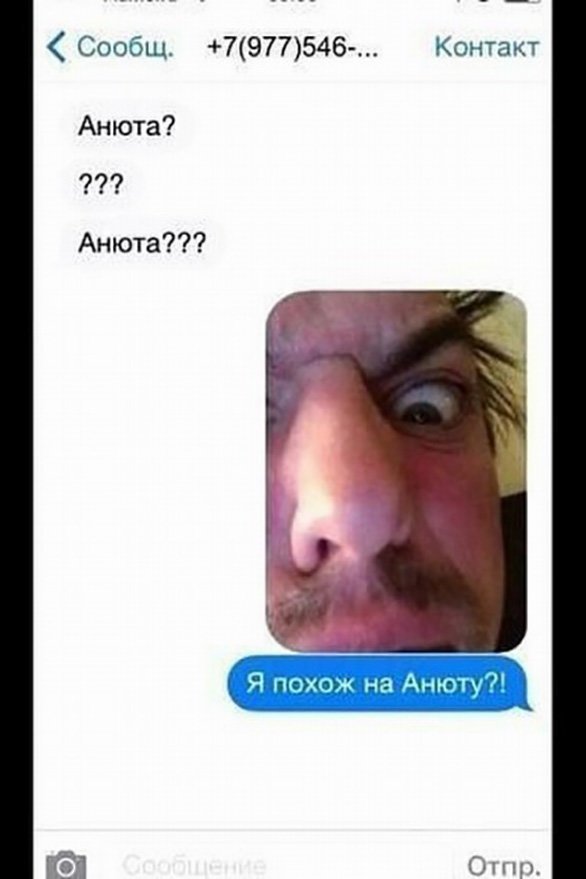 Прикольные и смешные картинки