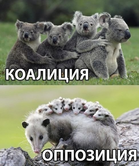 Прикольные и смешные картинки