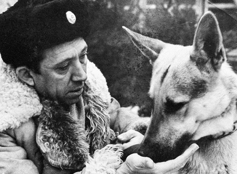 На съемках фильма «Ко мне, Мухтар!», 1964 год, фото Чернова / РИА «Новости».