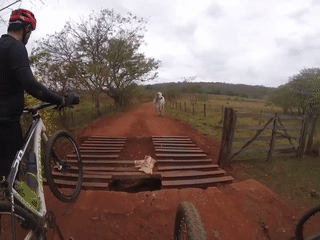 Не поделили дорогу Не поделили дорогу