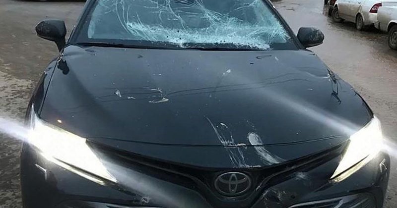 Обычное ДТП в Чечне: конь запрыгнул на капот автомобиля и сбежал