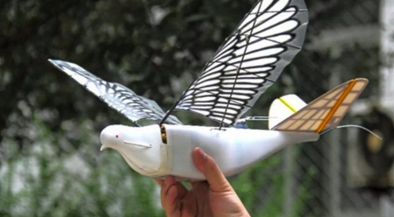 Птицы-дроны – новые служители безопасности Китая