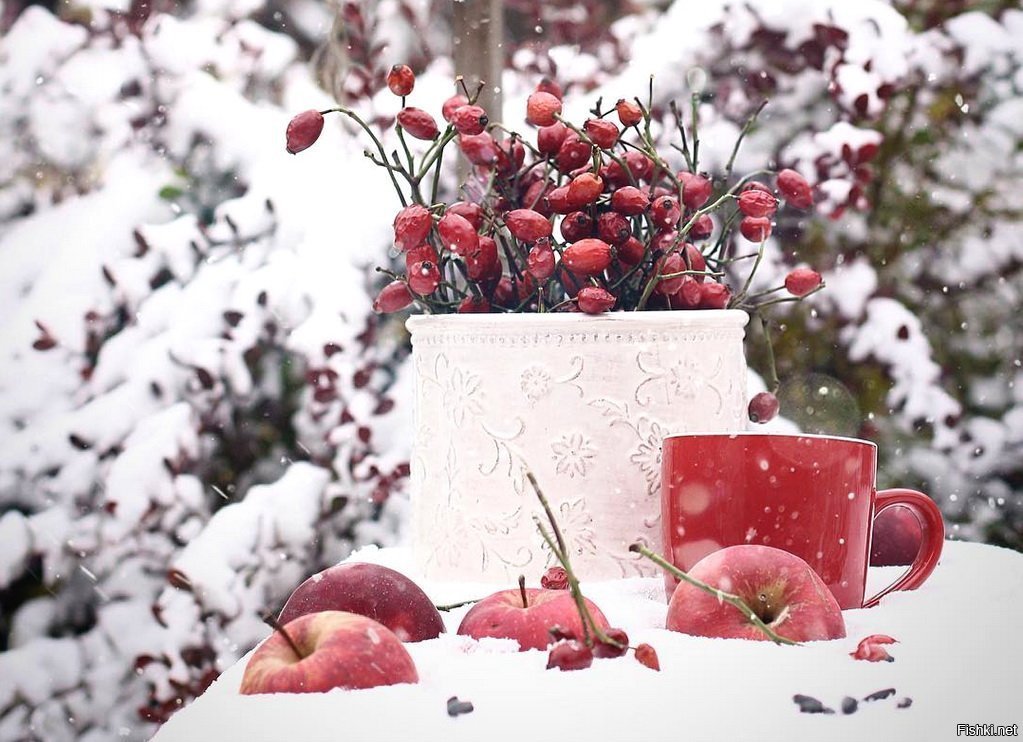 Доброе утро красивый снег. Доброе утро зима. Зимние яблоки. Яблоки на снегу. Красивый натюрморт на снегу.