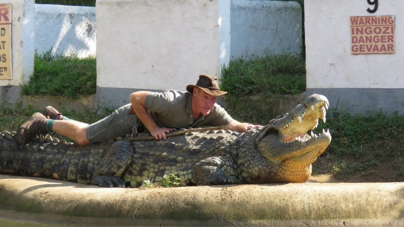 Укротитель крокодилов