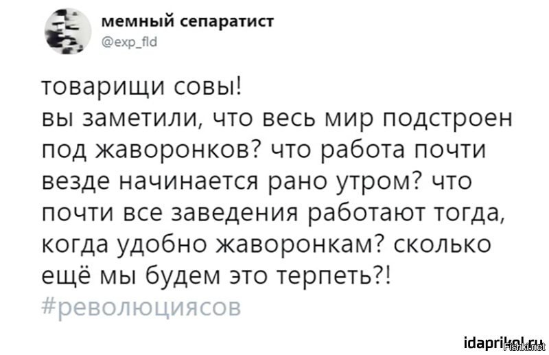 Мемные фразы 2023. Про Жаворонков и сов. Шутки про сов и Жаворонков. Шутки про сову и жаворонка. Шутки про Жаворонков.