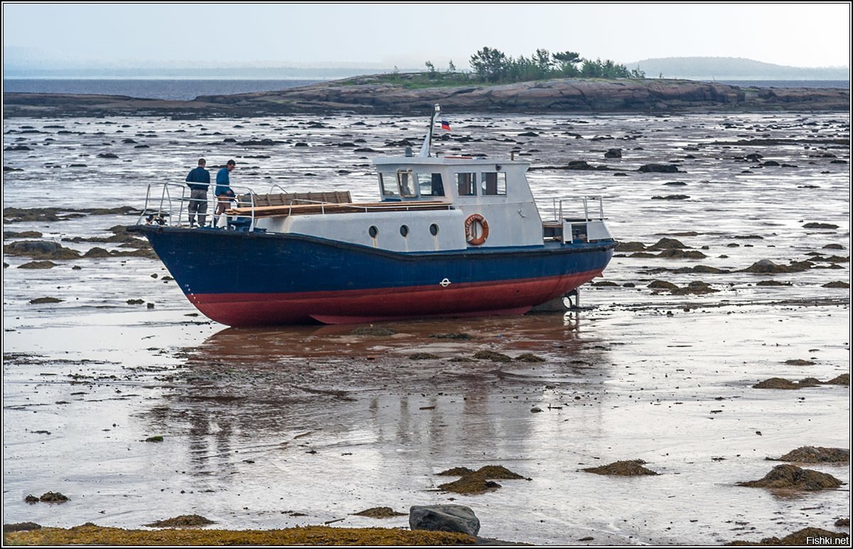 Приливы в белом море. Белое море приливы. Отлив на белом море. Белое море отливы и приливы. Чкаловский белое море.