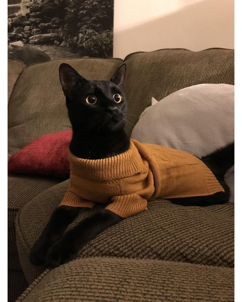 1.