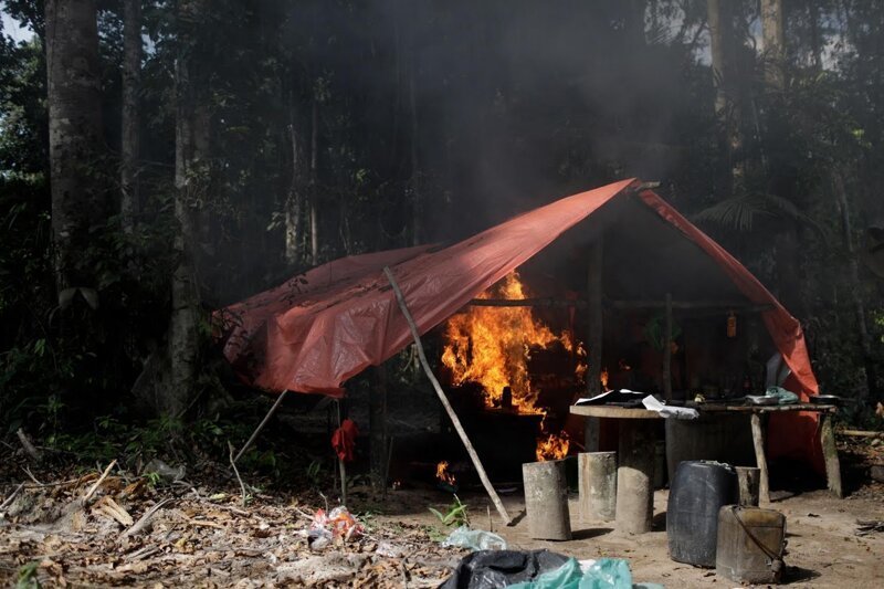 Тропический лес Амазонки в Бразилии находится под осадой нелегальных шахт