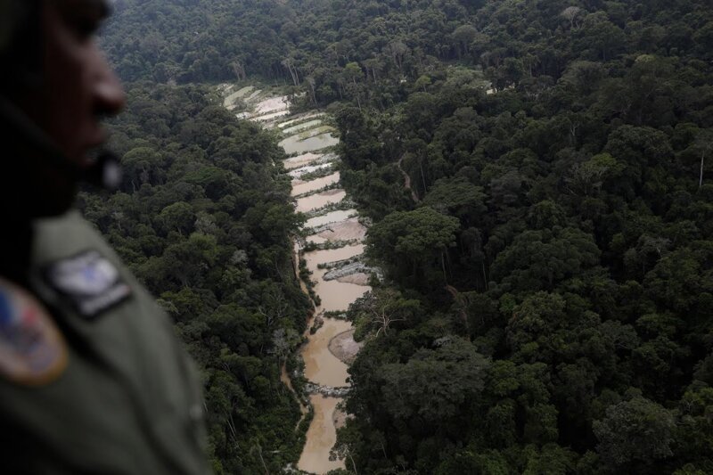 Тропический лес Амазонки в Бразилии находится под осадой нелегальных шахт