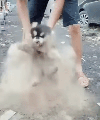 7c8b9528bfe0f6a0ff16f8c0e6207e41.gif