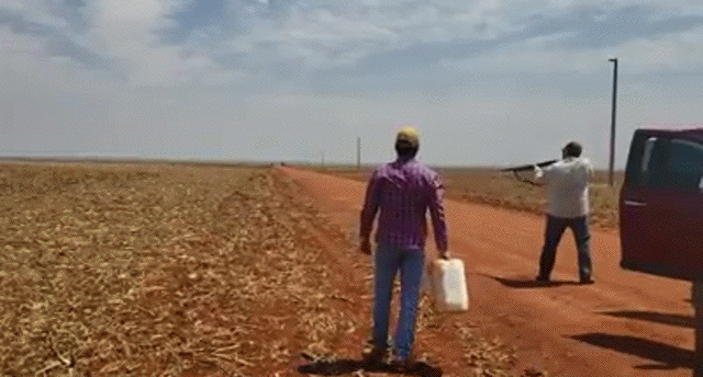 Гифки дня Гифки дня