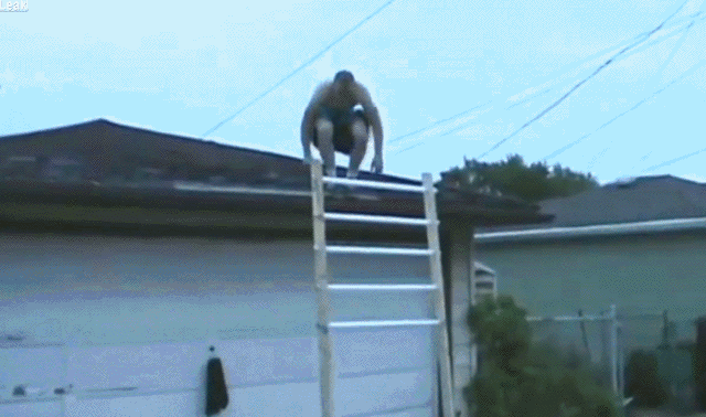 Гифки дня Гифки дня