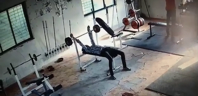 Гифки дня Гифки дня