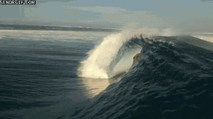 Гифки дня Гифки дня