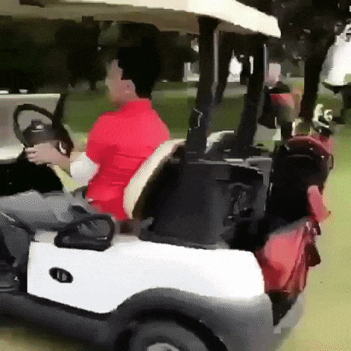 Гифки дня Гифки дня