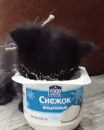 23d1344e5217e0a6a0e55fde396771b1.gif