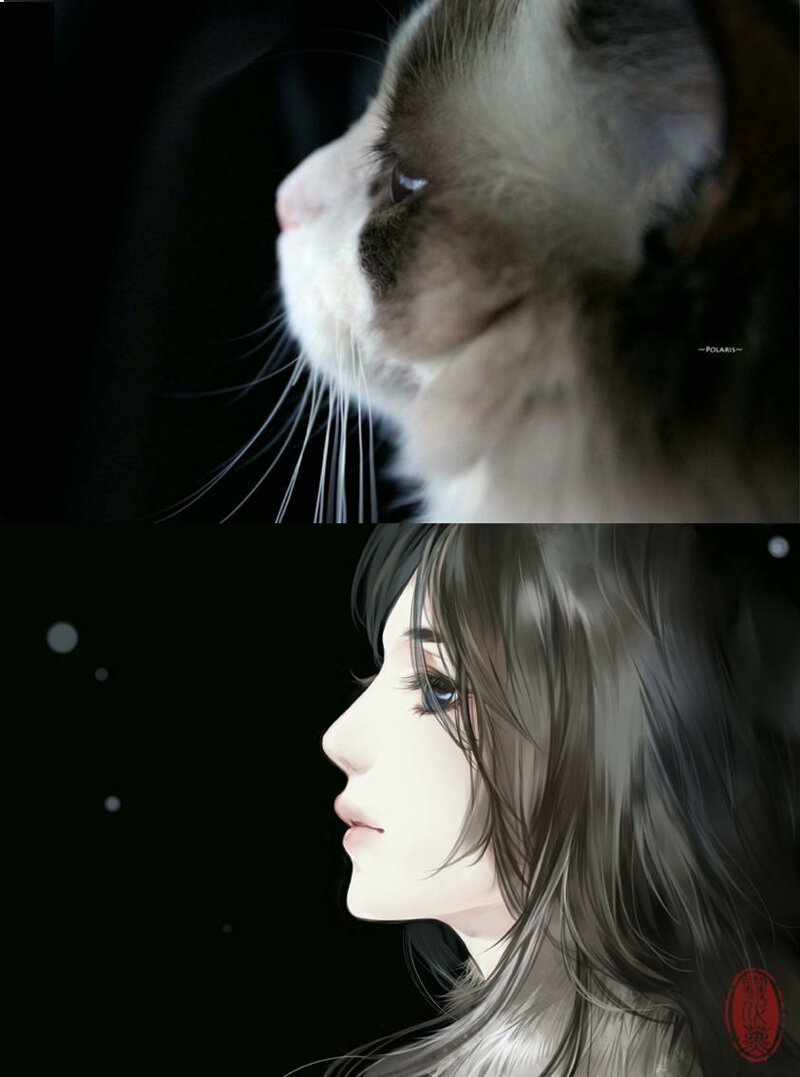 Китайская художница представила, как выглядели бы кошки, будь они девушками из аниме