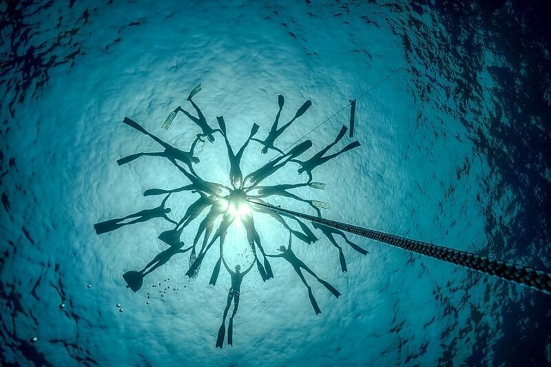 "Большой и синий океан": фотограф-фридайвер показал удивительную серию подводных кадров
