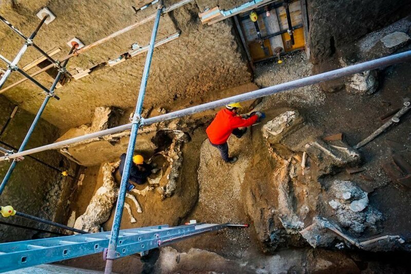 В Помпеях нашли окаменевшую лошадь возрастом 2000 лет