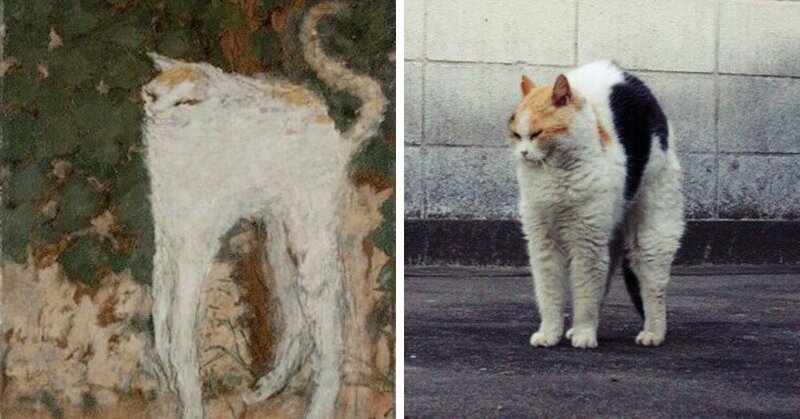 Пьер Боннар, «Белый кот»