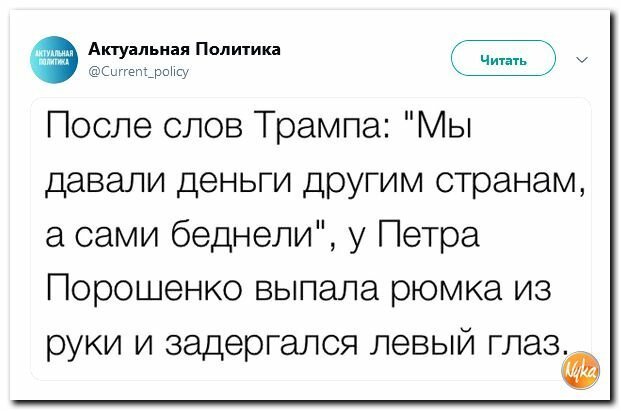 Политика читать