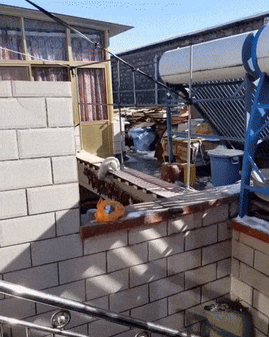 Когда захотелось сушеной рыбки