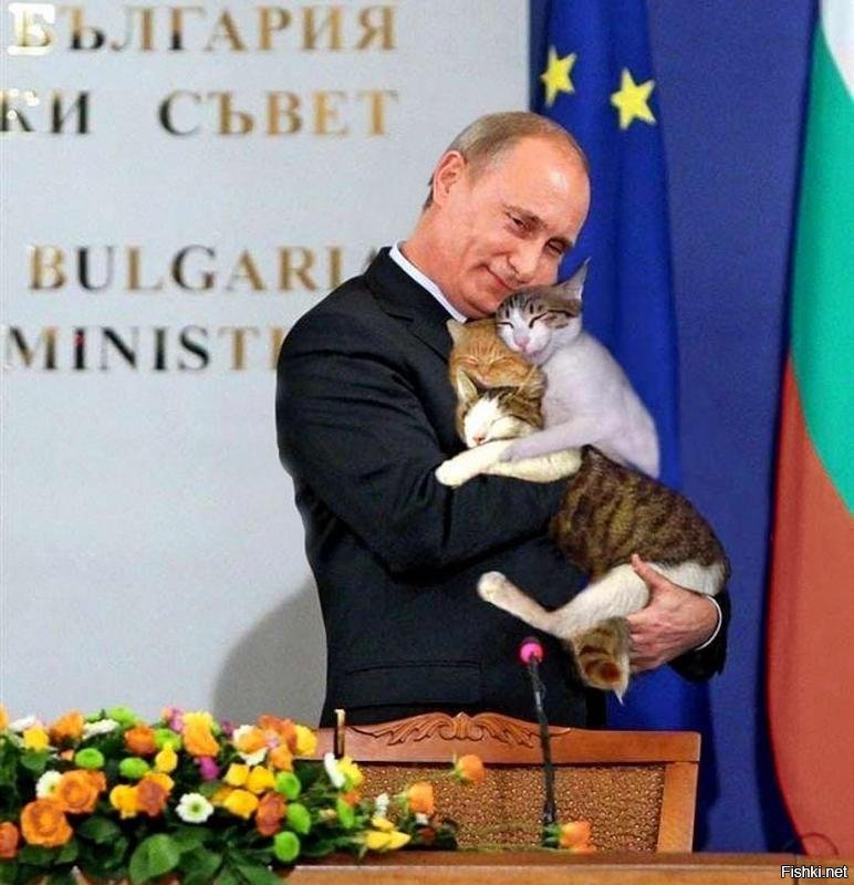 Путин с котиками фото