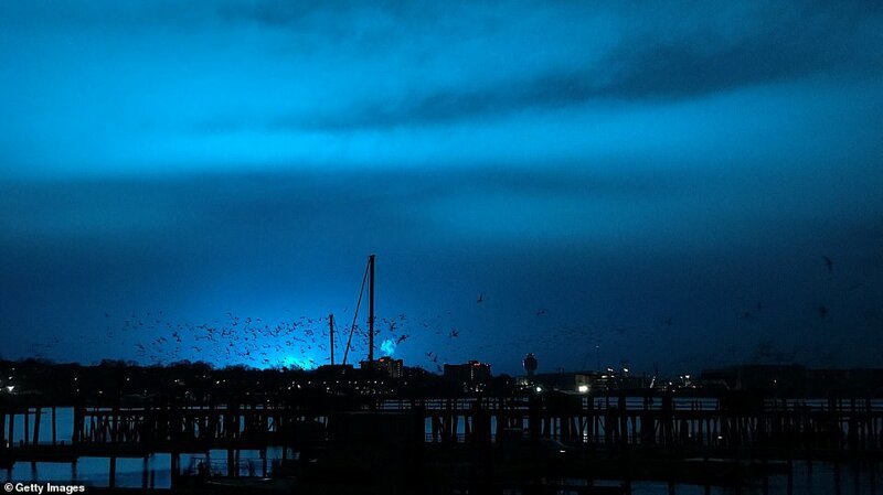 Взрыв на трансформаторной подстанции окрасил ночное небо Нью-Йорка в голубой цвет