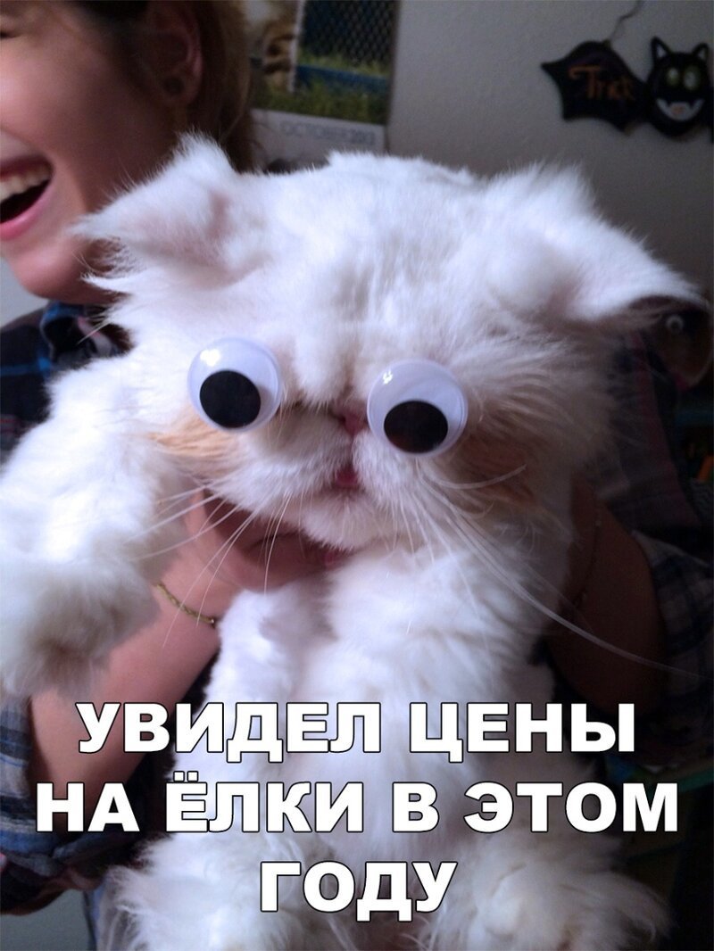 Новогодние приколы