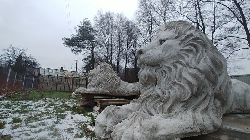Формы льва для скульптур из бетона - 75 фото