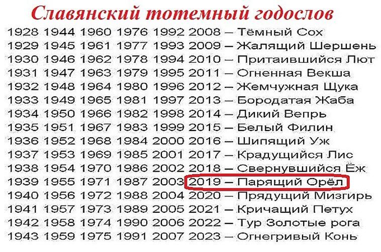 Наступающий 2019 год — это год парящего орла по славянскому календарю