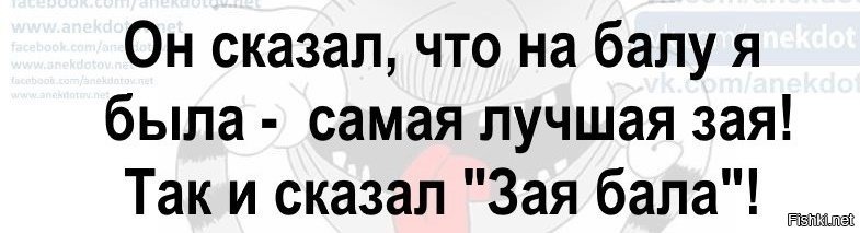 Не зову меня зая зови. Зая бала. Анекдот зая бала. Ты зая бала. Зая бала фото.