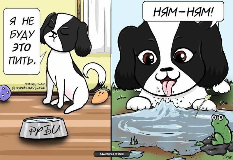17 комиксов о жизни собачки Руби, которые развеселят каждого, кто хотя бы день прожил с собакой