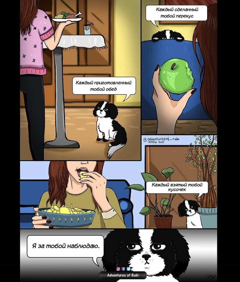 17 комиксов о жизни собачки Руби, которые развеселят каждого, кто хотя бы день прожил с собакой