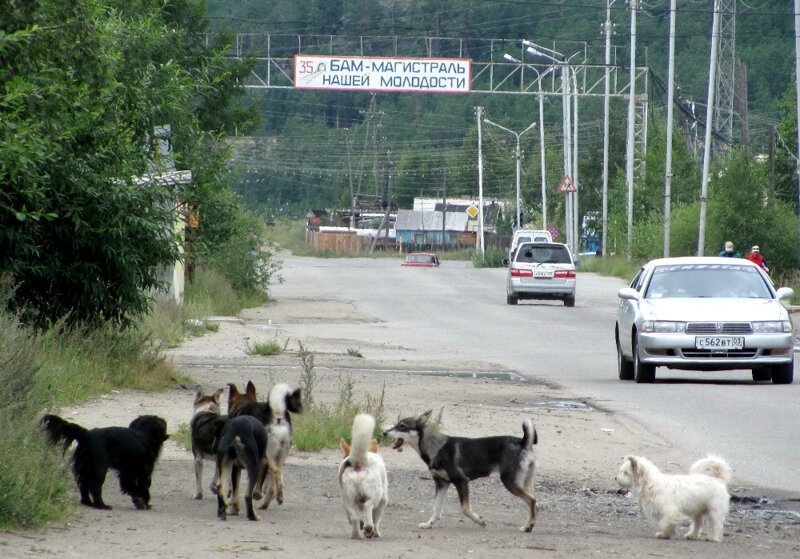 Северобайкальск. Байкало-Амурская магистраль
