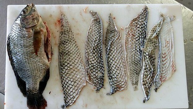 25 Шкурка рыбы(Skin of fish) карп