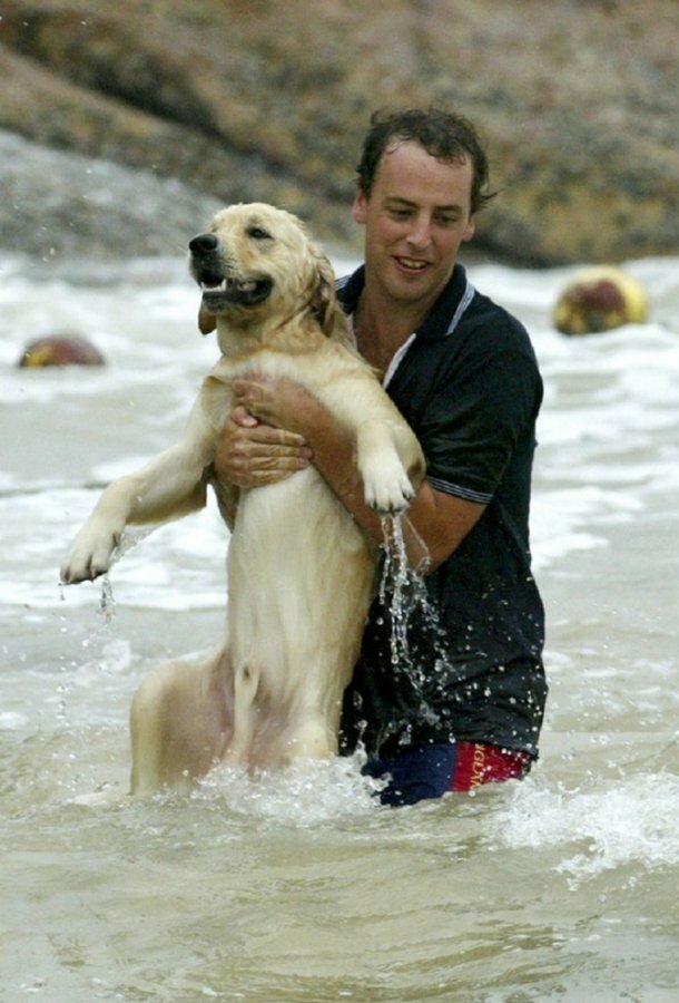 А этот пес чуть не утонул во время тайфуна Дуджуан в Гонконге, но его спас парень
