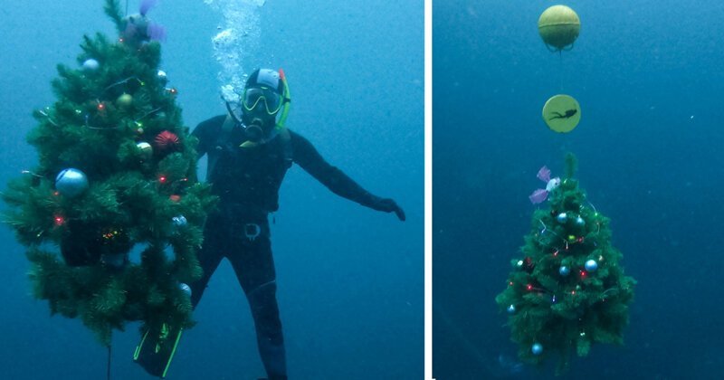 Подводную новогоднюю елку поставили под Казанью