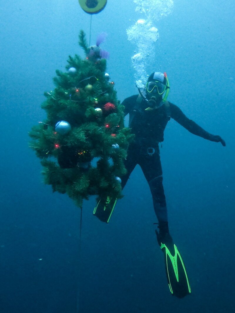 Подводную новогоднюю елку поставили под Казанью