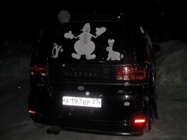 Автовсячина