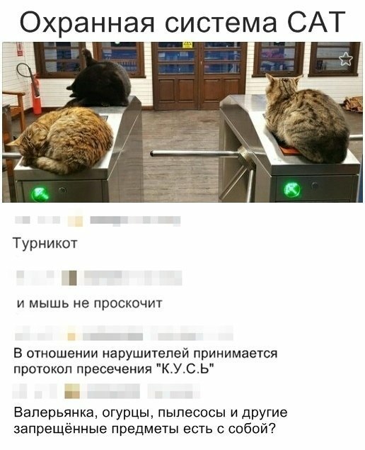 Прикольные комментарии из соцсетей