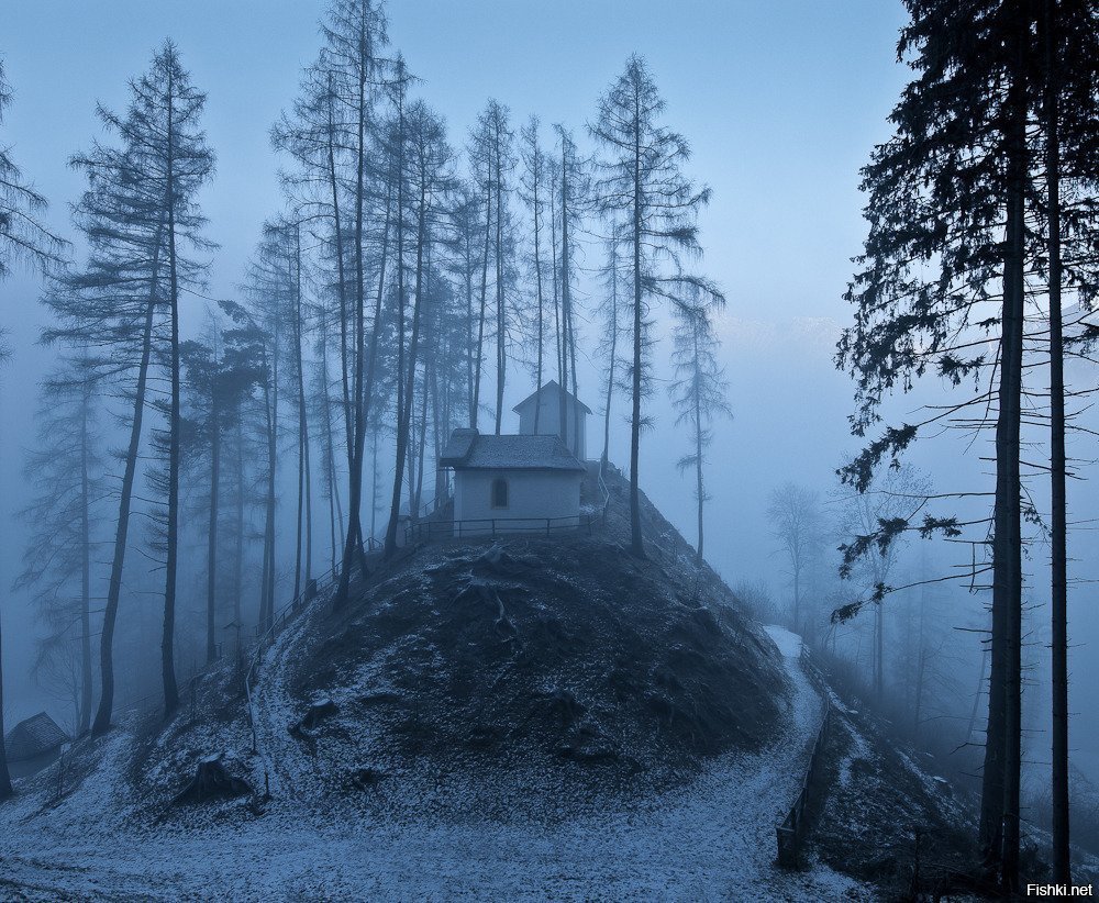 Одинокий холм. Чёрный лес Шварцвальд храм. Скандинавия лес Шварцвальд. Скит отшельника лес. Домик в лесу.