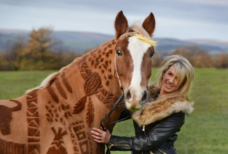 Все эти годы ее помощником и компаньоном является Ромео, восьмилетний конь уэльской породы