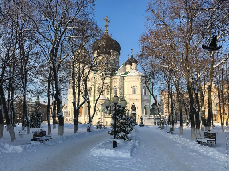 Три города декабря: Воронеж