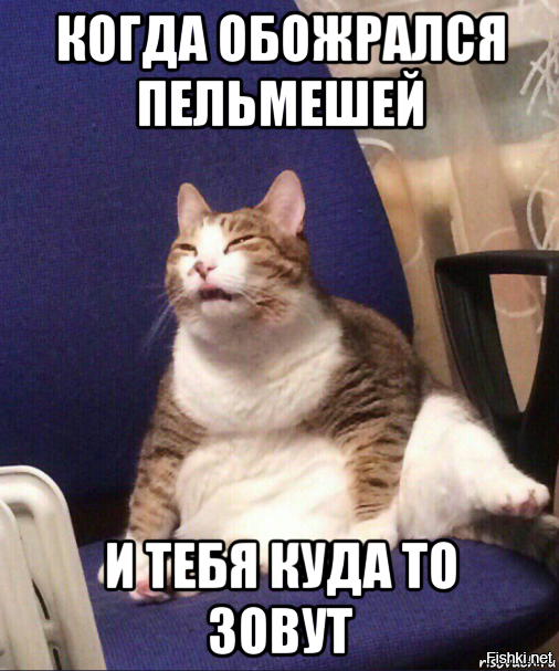 Жирные вздохи сожаления