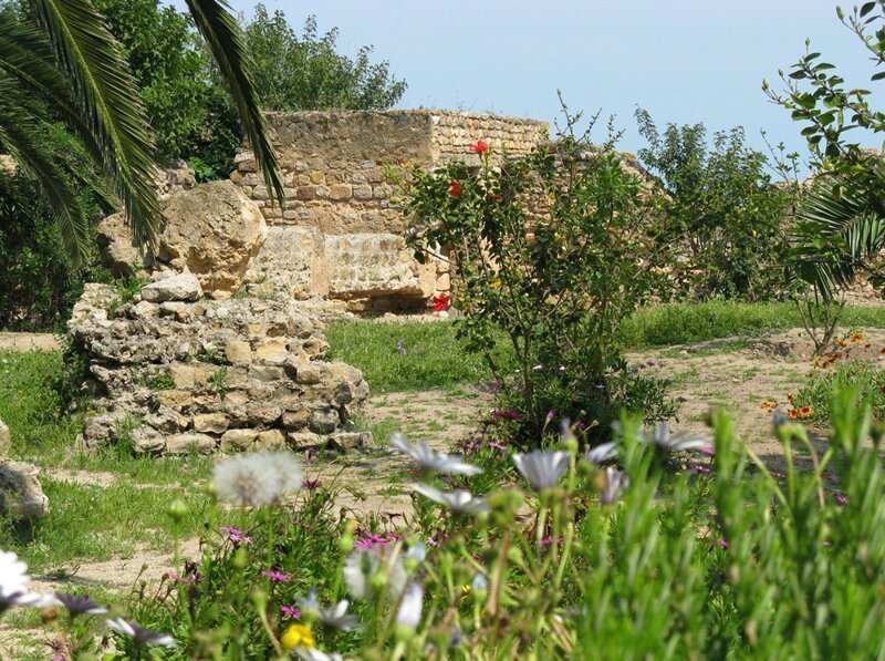 Тунис. Руины Карфагена