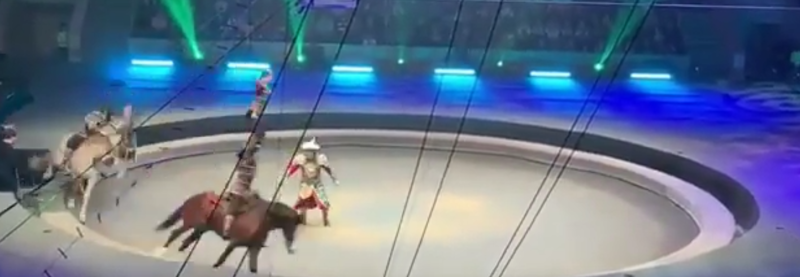 Цирковой акробат упал прямо под копыта лошади